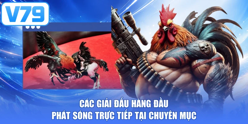 Các giải đấu hàng đầu phát sóng trực tiếp tại chuyên mục