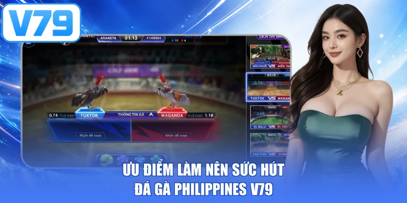 Ưu điểm làm nên sức hút đá gà Philippines V79